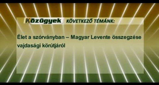 Embedded thumbnail for Élet a szórványban – Magyar Levente összegzése vajdasági körútjáról (videó) 